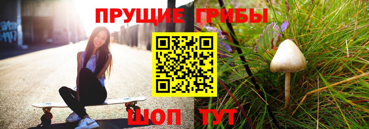 Галлюциногенные грибы прущие грибы  Вход с VPN  Гай 